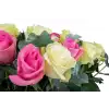 Bouquet of Ecuadorian roses